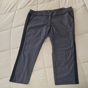 Womens Gray Straight Dress Pants with Black Side Stripe